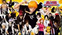 bleach216_small.jpg