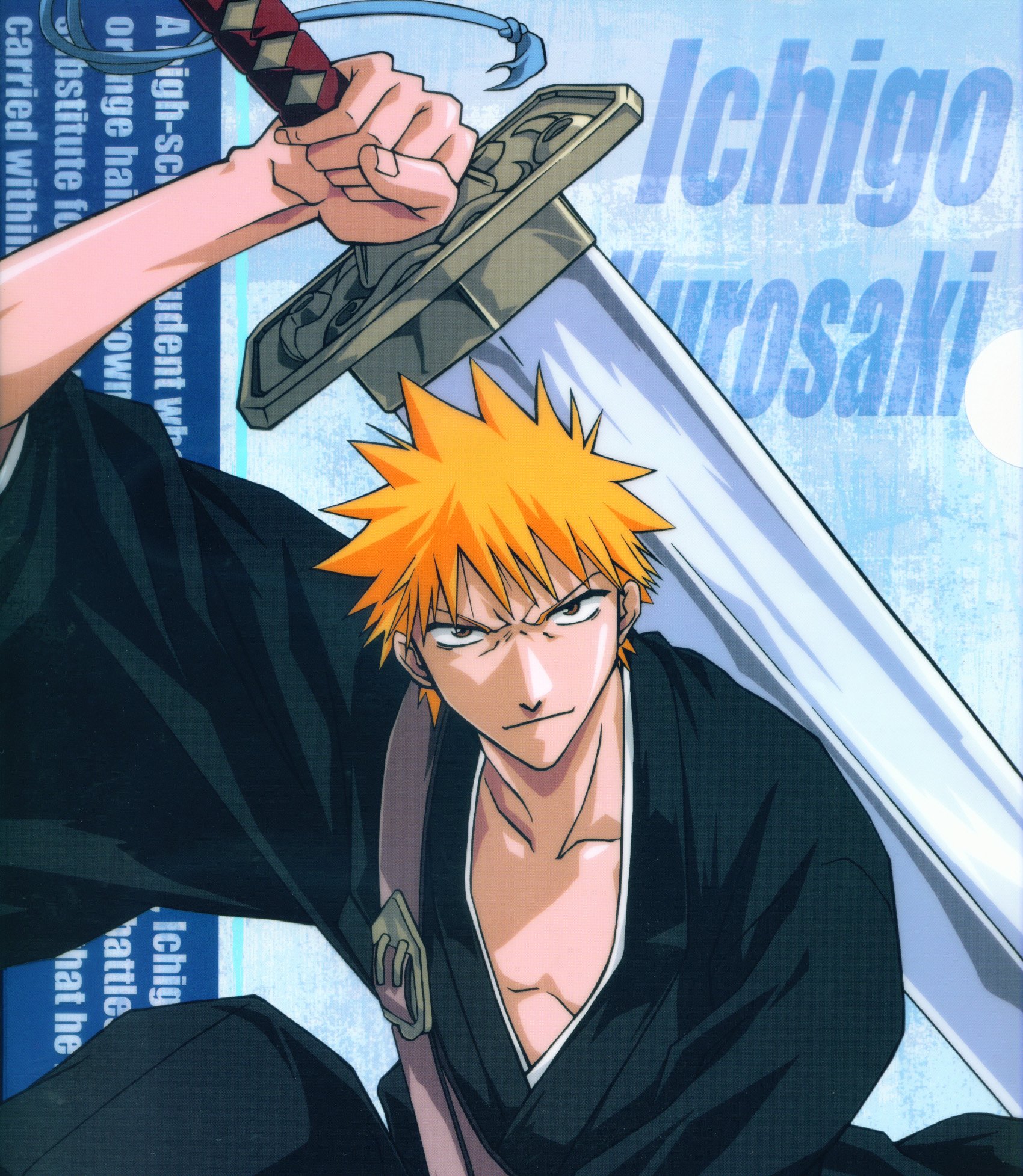 bleach224.jpg