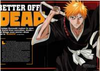 bleach226_small.jpg