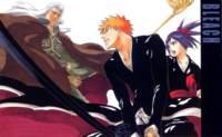 bleach231_small.jpg