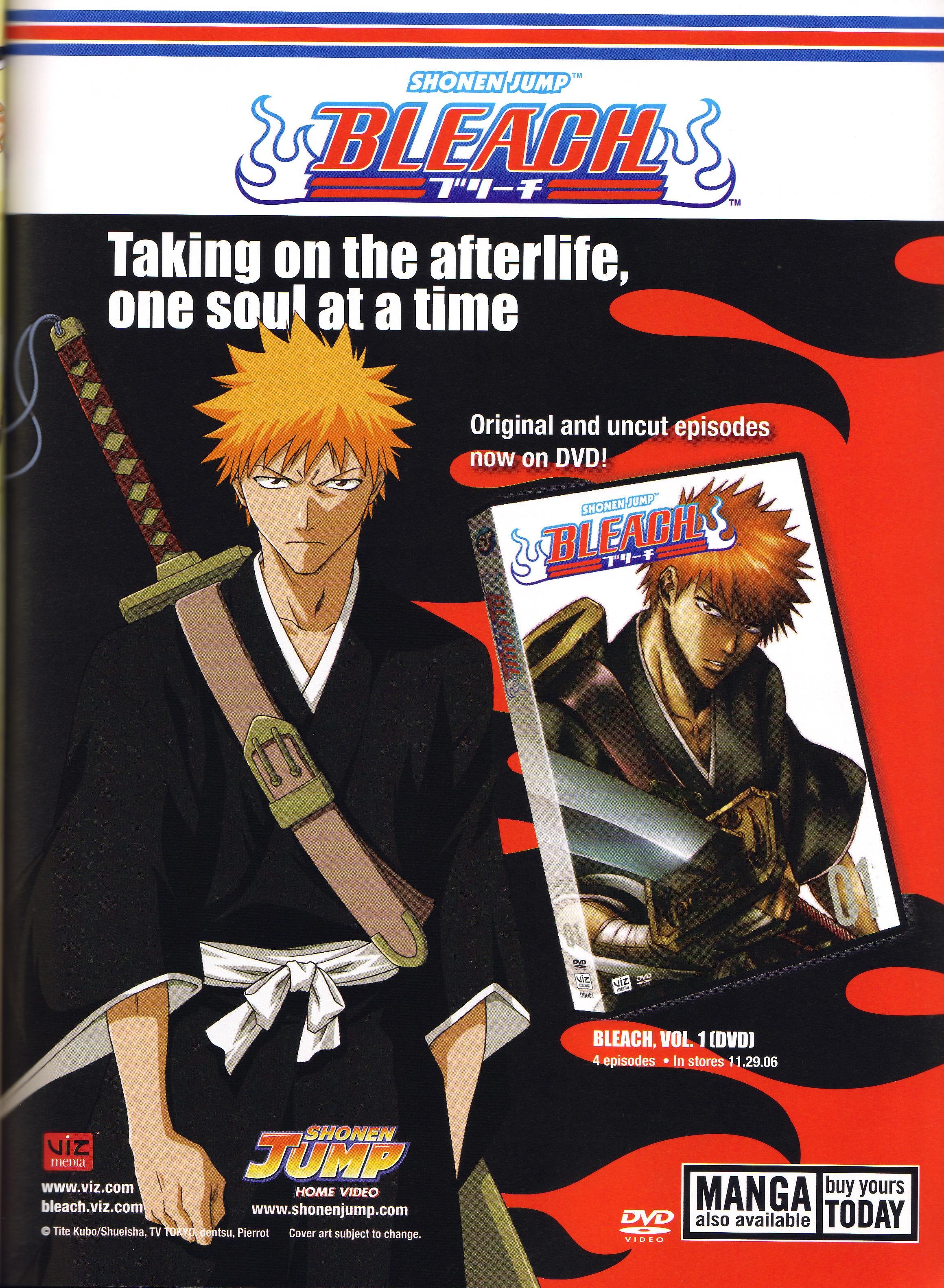 bleach232.jpg