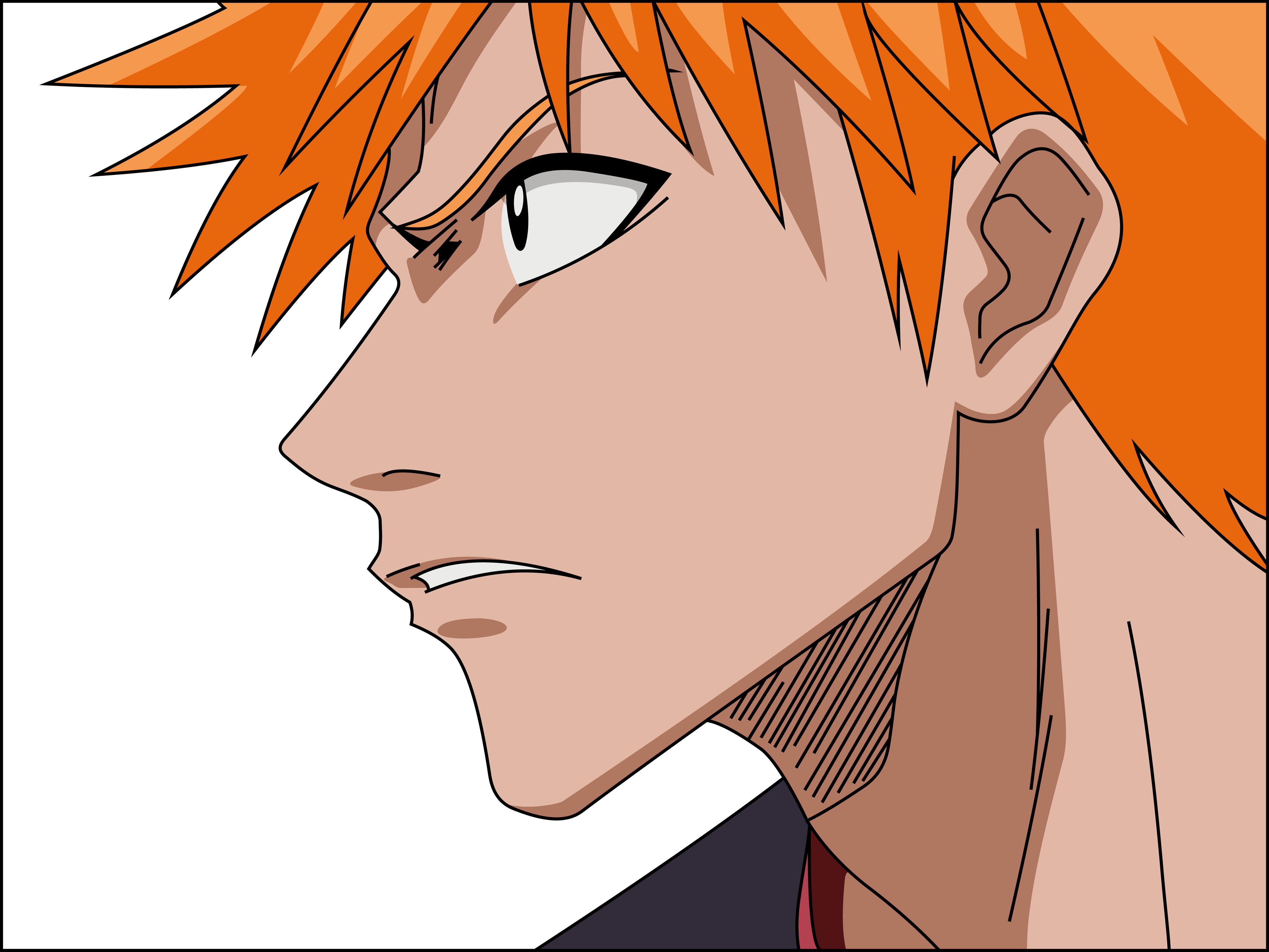 bleach233.jpg