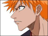 bleach233_small.jpg