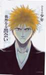 bleach252_small.jpg