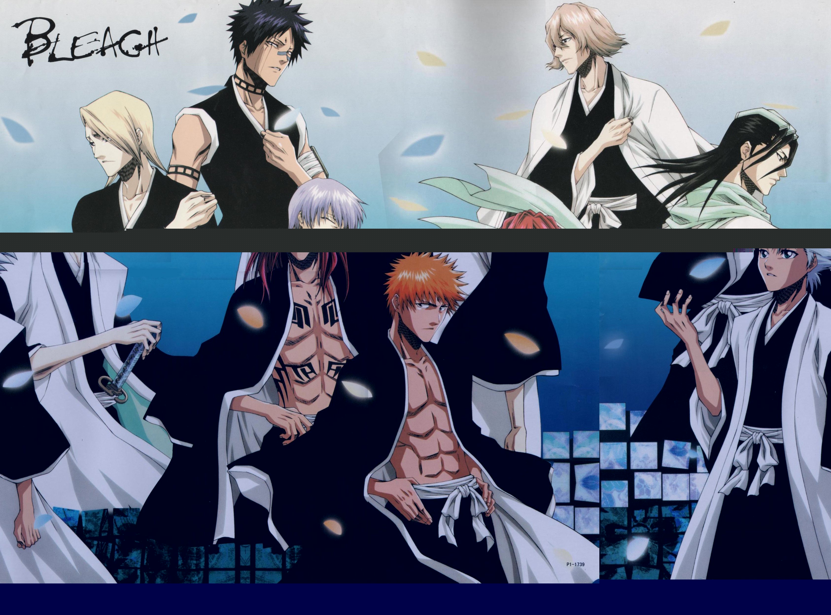 bleach263.jpg