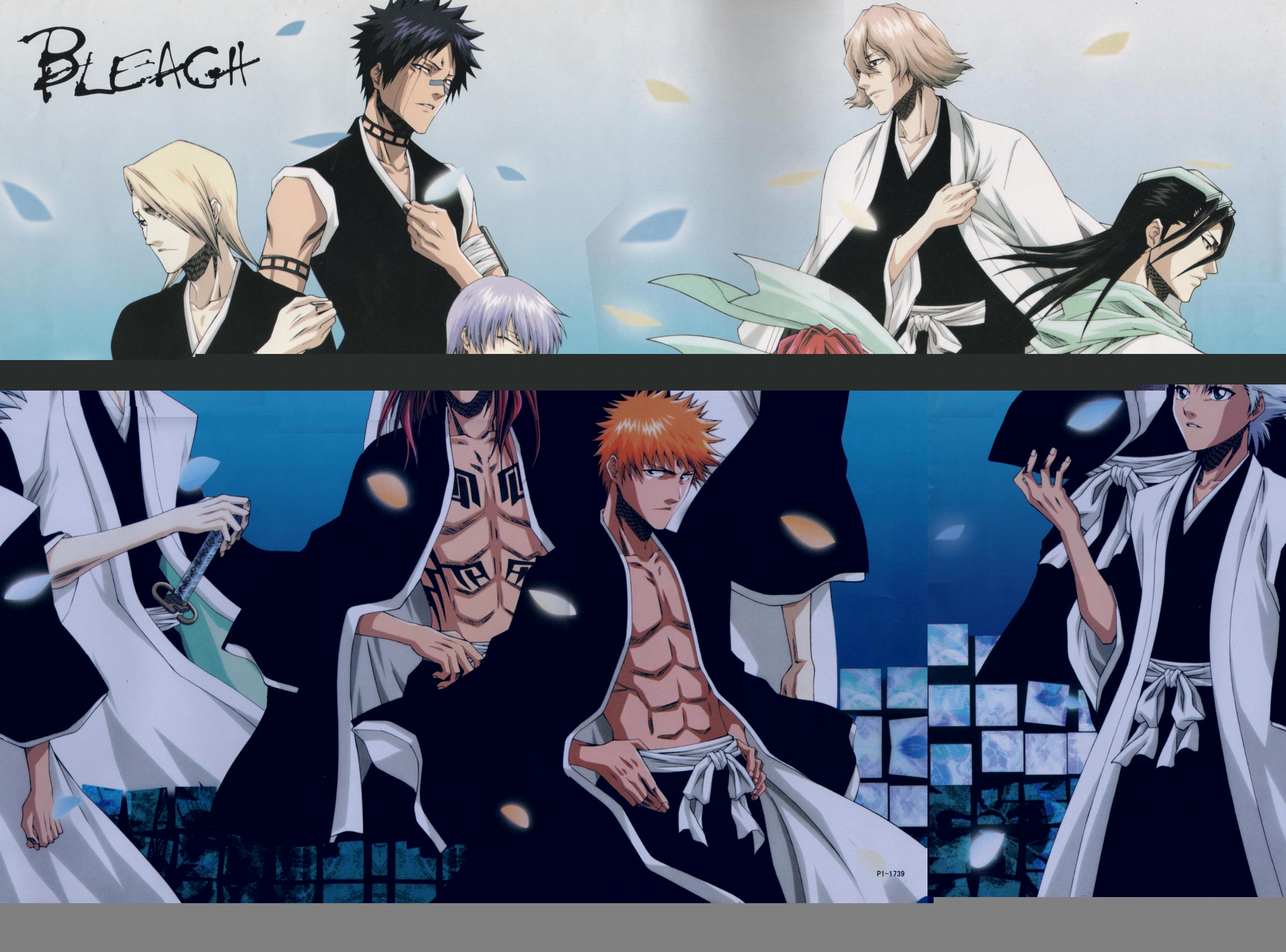 bleach263.jpg