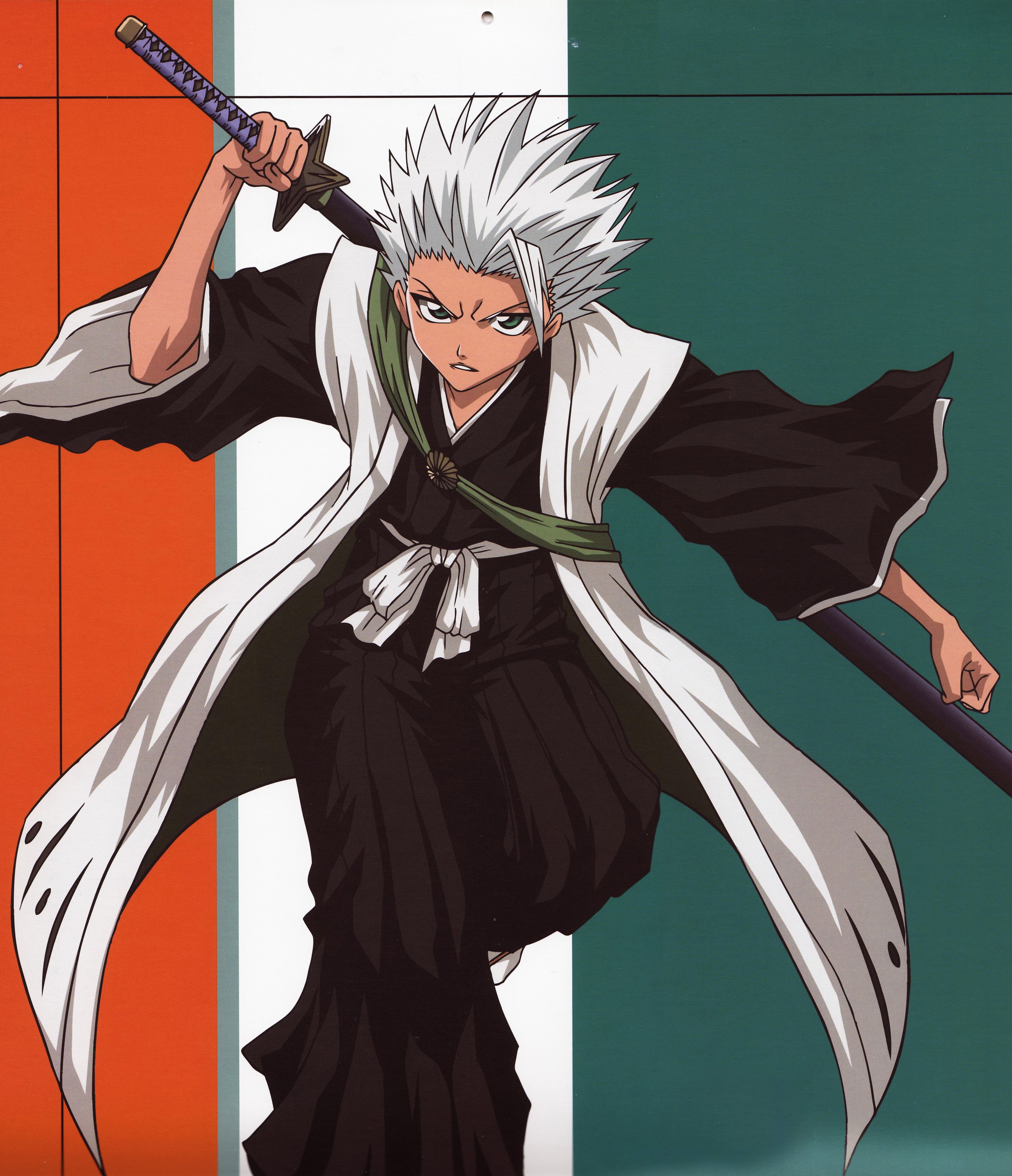 bleach273.jpg