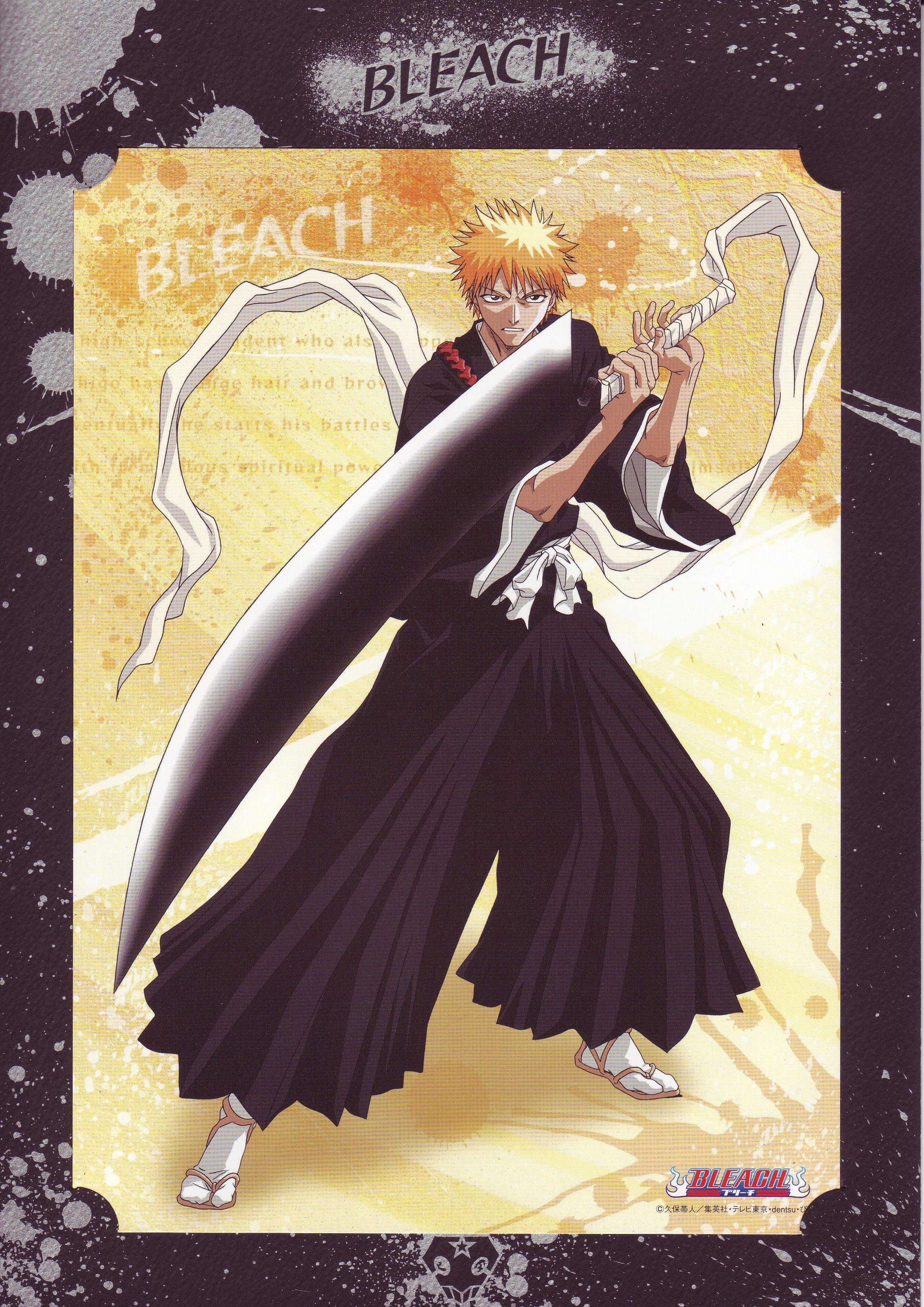 bleach293.jpg