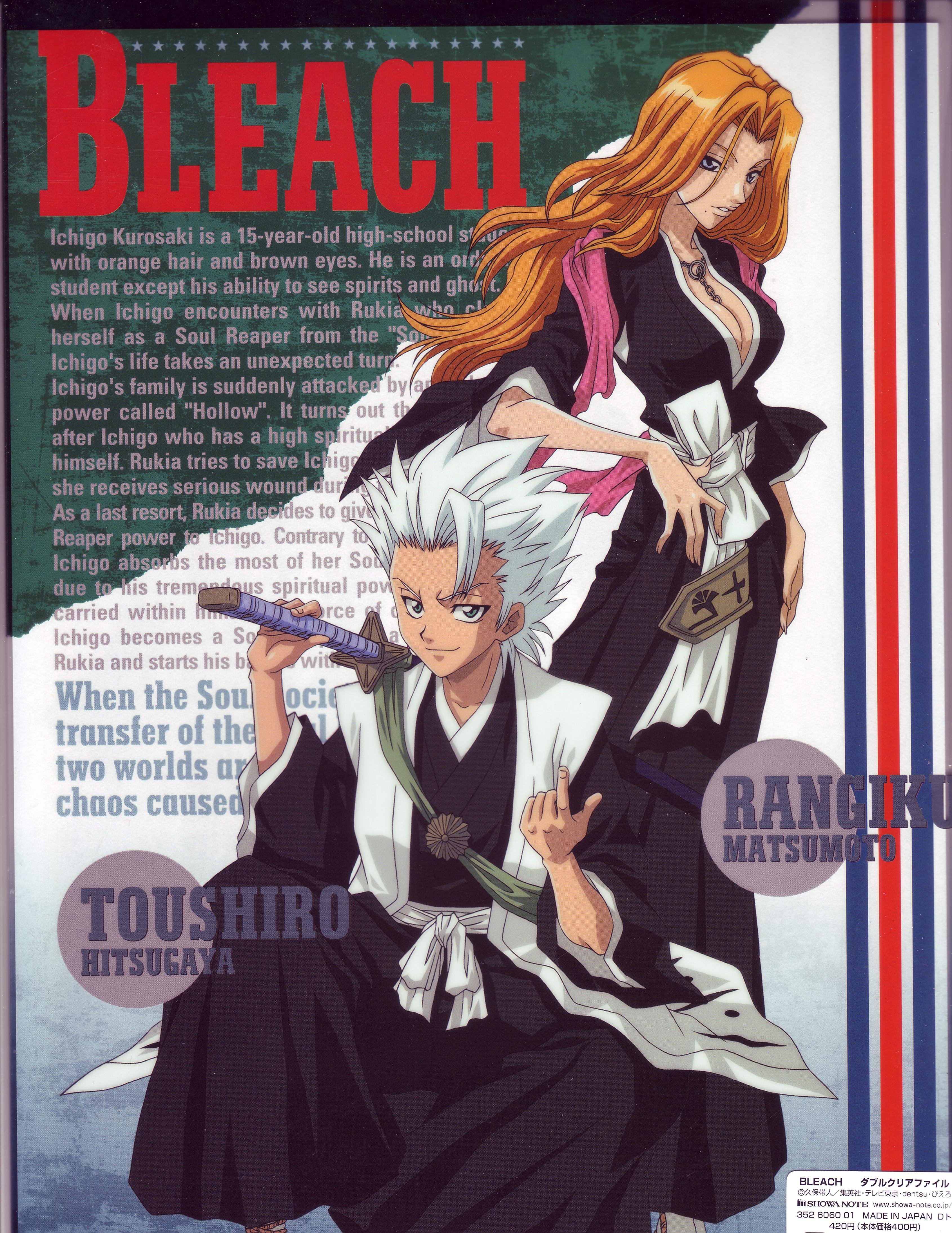 bleach308.jpg