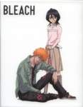 bleach309_small.jpg