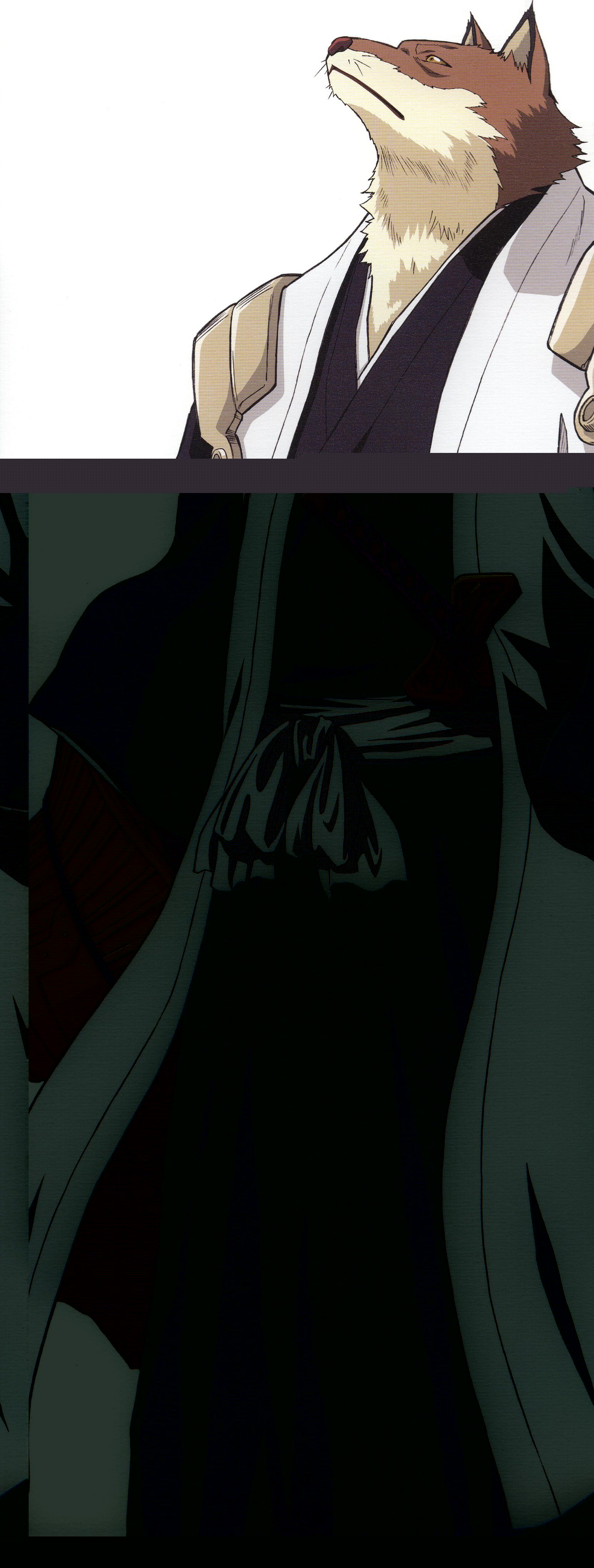 bleach332.jpg