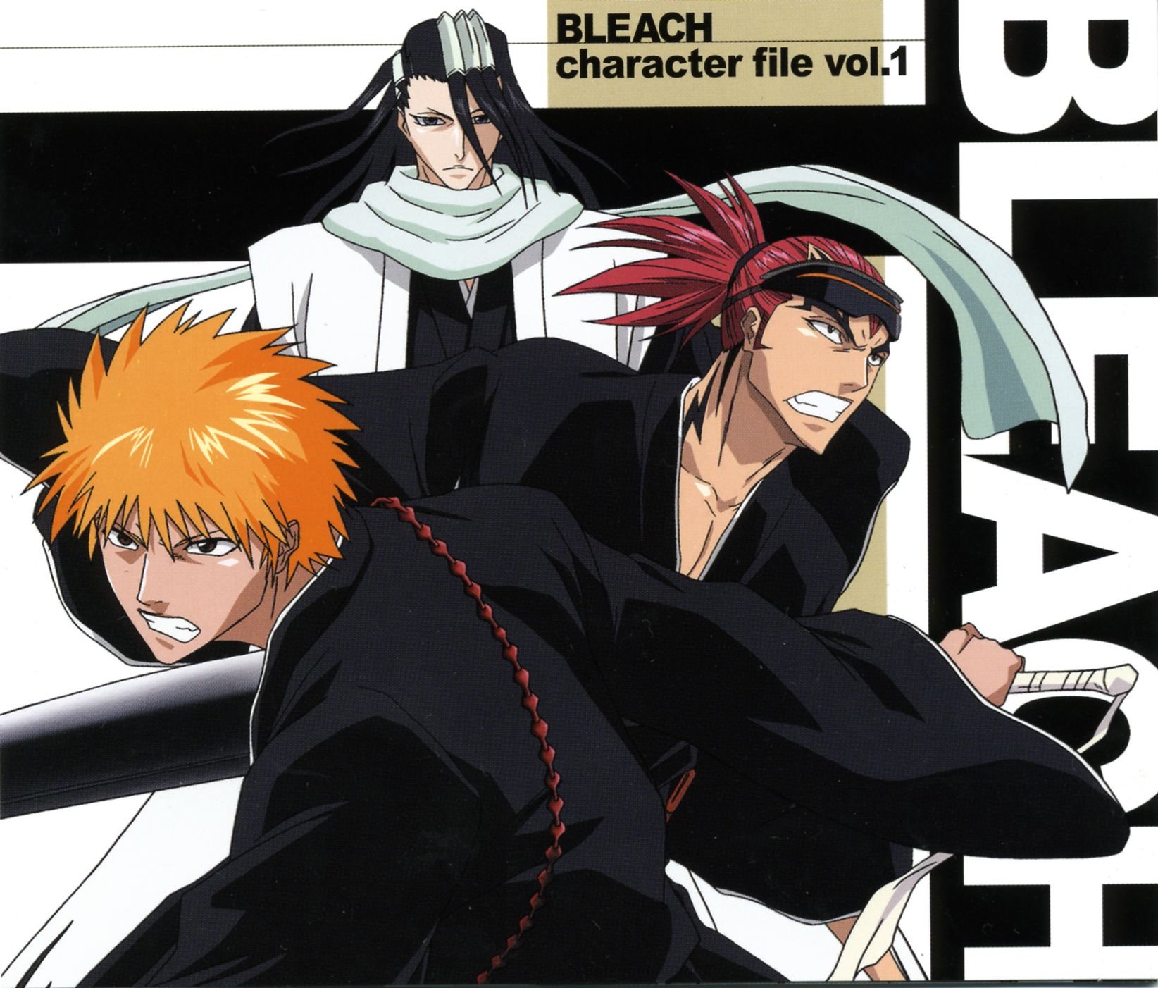 bleach39.jpg