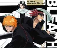 bleach39_small.jpg