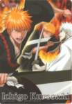 bleach51_small.jpg