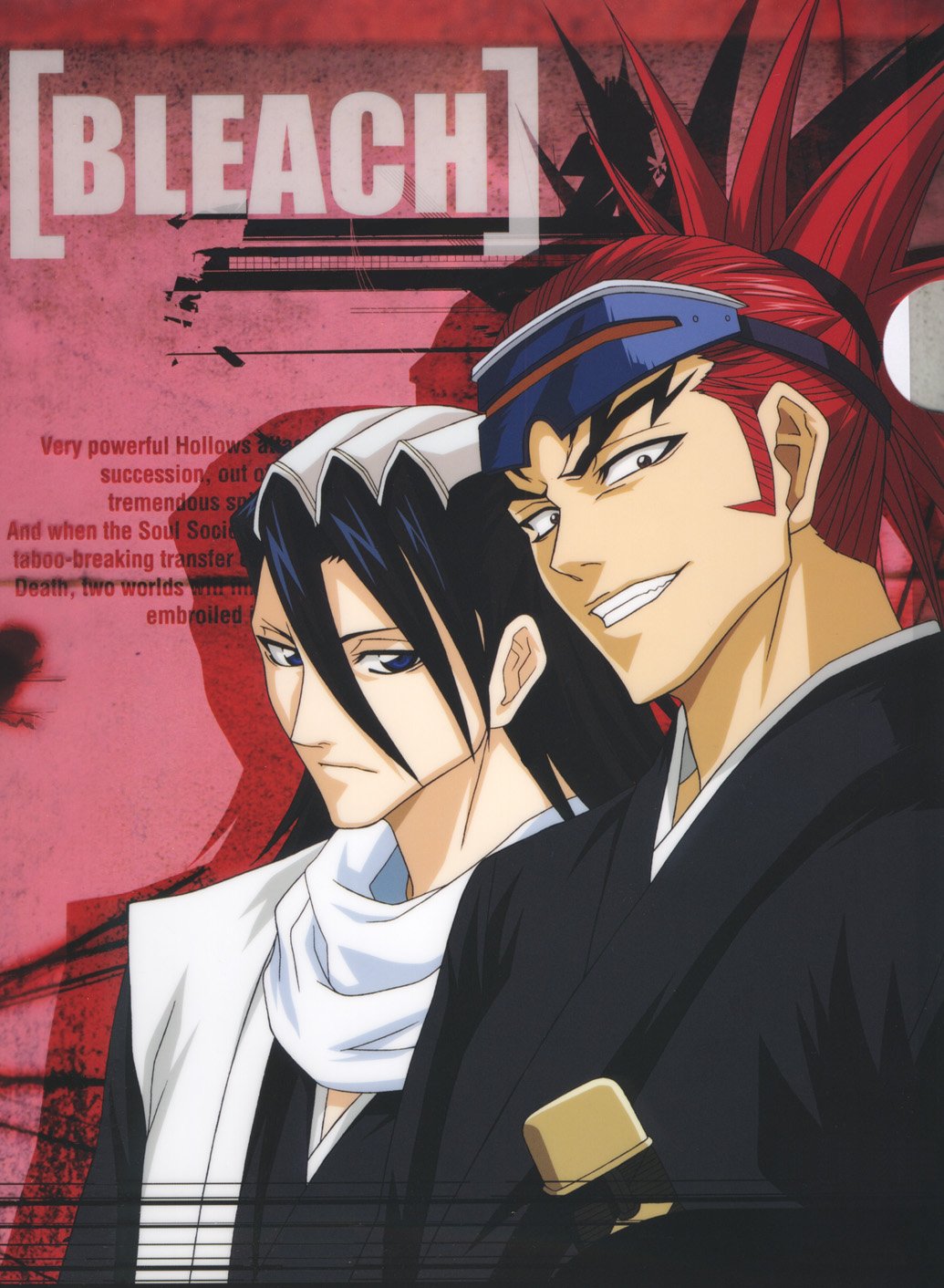 bleach69.jpg