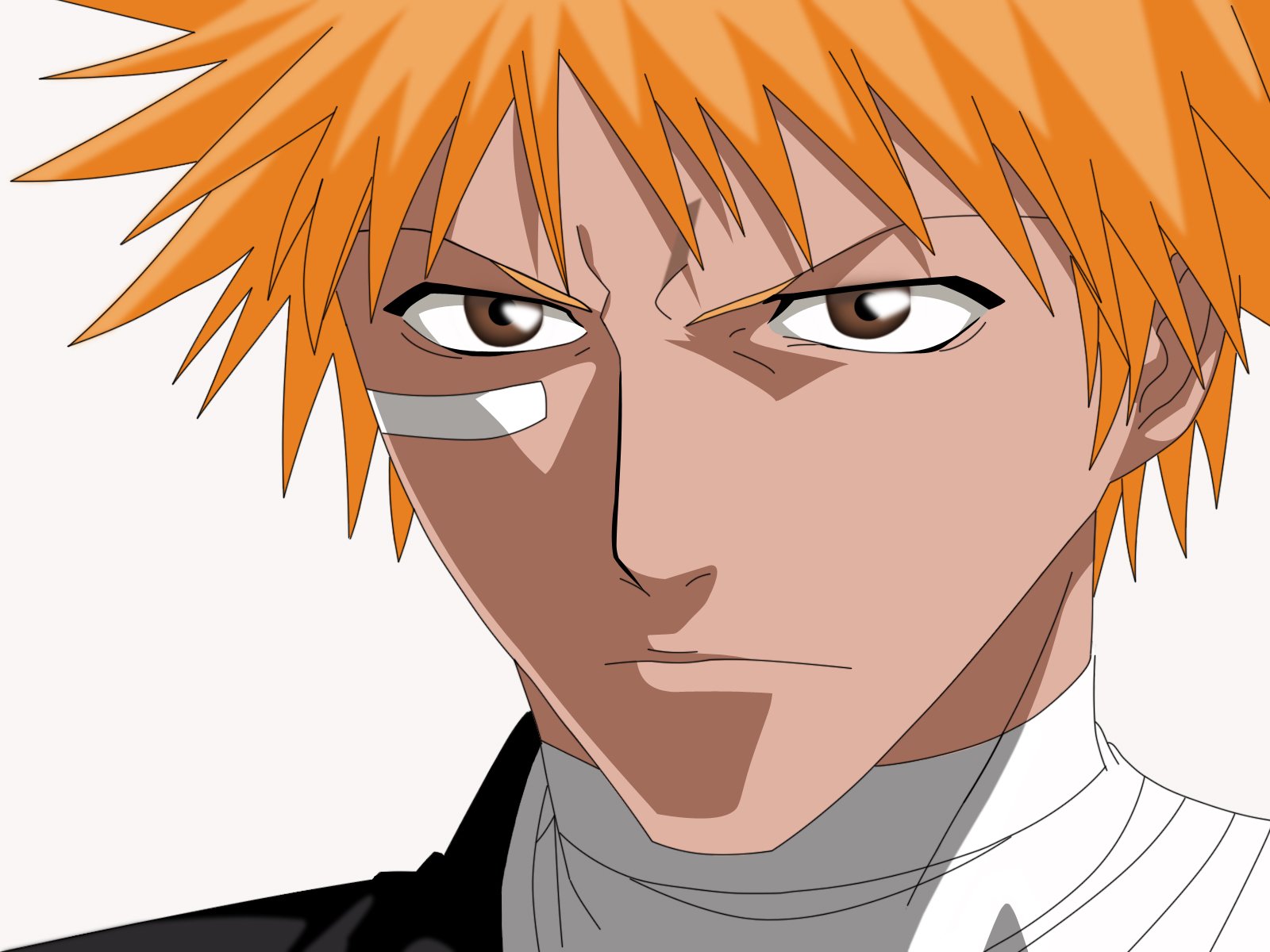 bleach96.jpg