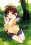 clannad106_small.jpg