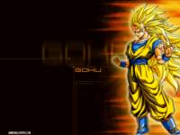 dragonballzwallpapers107_small.jpg