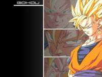 dragonballzwallpapers116_small.jpg