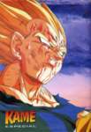 dragonballzsagamajinboo145_small.jpg