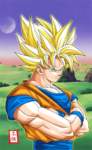 dragonballzsagamajinboo211_small.jpg