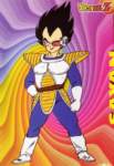 dragonballzsagasaiyajin14_small.jpg