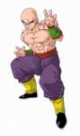 dragonballzsagasaiyajin79_small.jpg