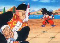 dragonball12_small.jpg