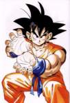 dragonball142_small.jpg