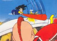 dragonball19_small.jpg