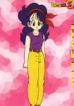 dragonball226_small.jpg