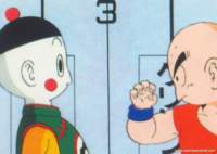 dragonball26_small.jpg