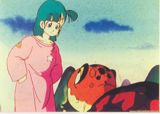 Bulma conoce a la tortuga de Kame Senin