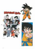 Escaneada del artbooks de Dragon Ball