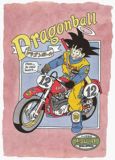 Escaneada del artbooks de Dragon Ball