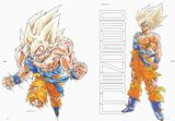 Escaneada del artbooks de Dragon Ball