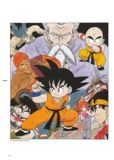 Escaneada del artbooks de Dragon Ball