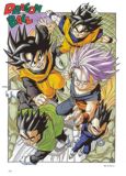 Escaneada del artbooks de Dragon Ball