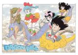 Escaneada del artbooks de Dragon Ball