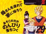 Covers de los DVD de Dragon Ball Z