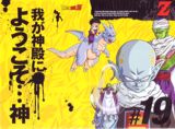 Covers de los DVD de Dragon Ball Z