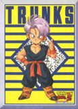 Trunks, el ganador del torneo de artes marciales infantil