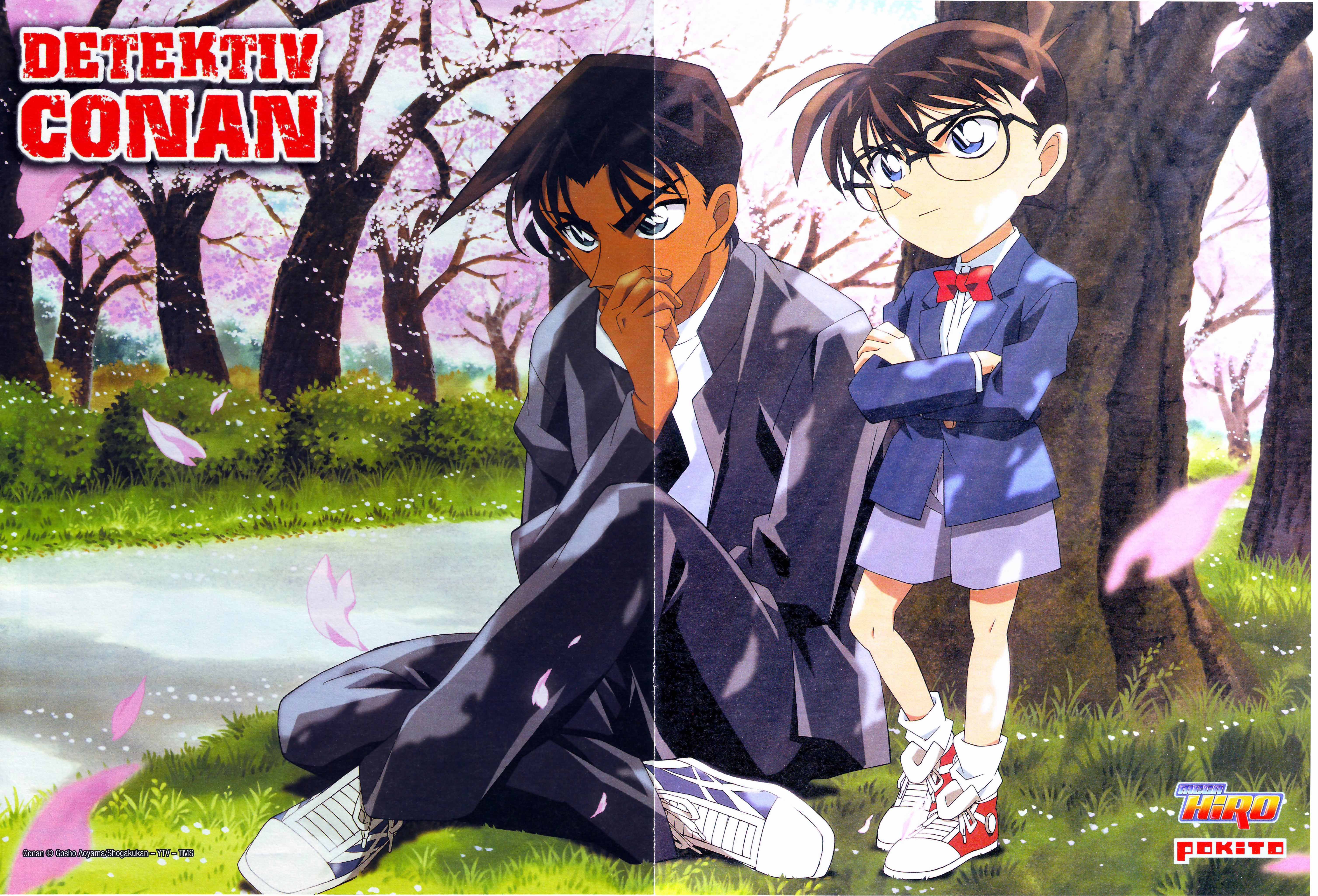 detectiveconan13.jpg