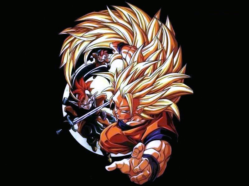 dragonballzwallpapers111.jpg