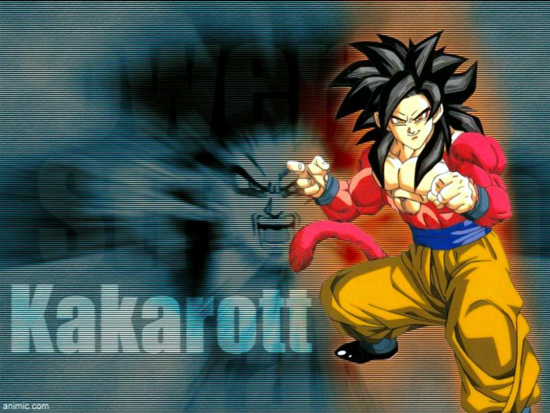 dragonballzwallpapers96.jpg