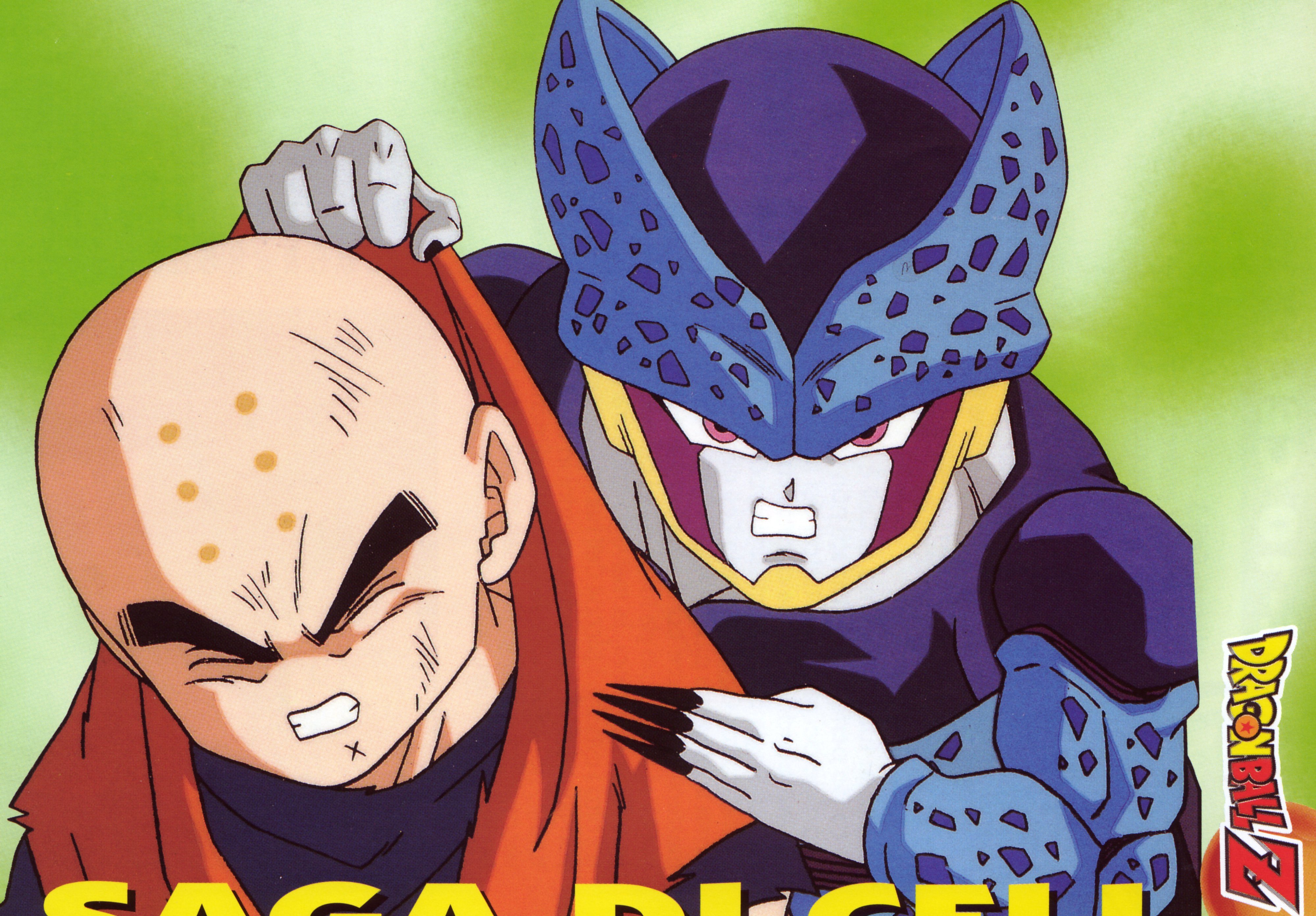 dragonballzsagacell31.jpg