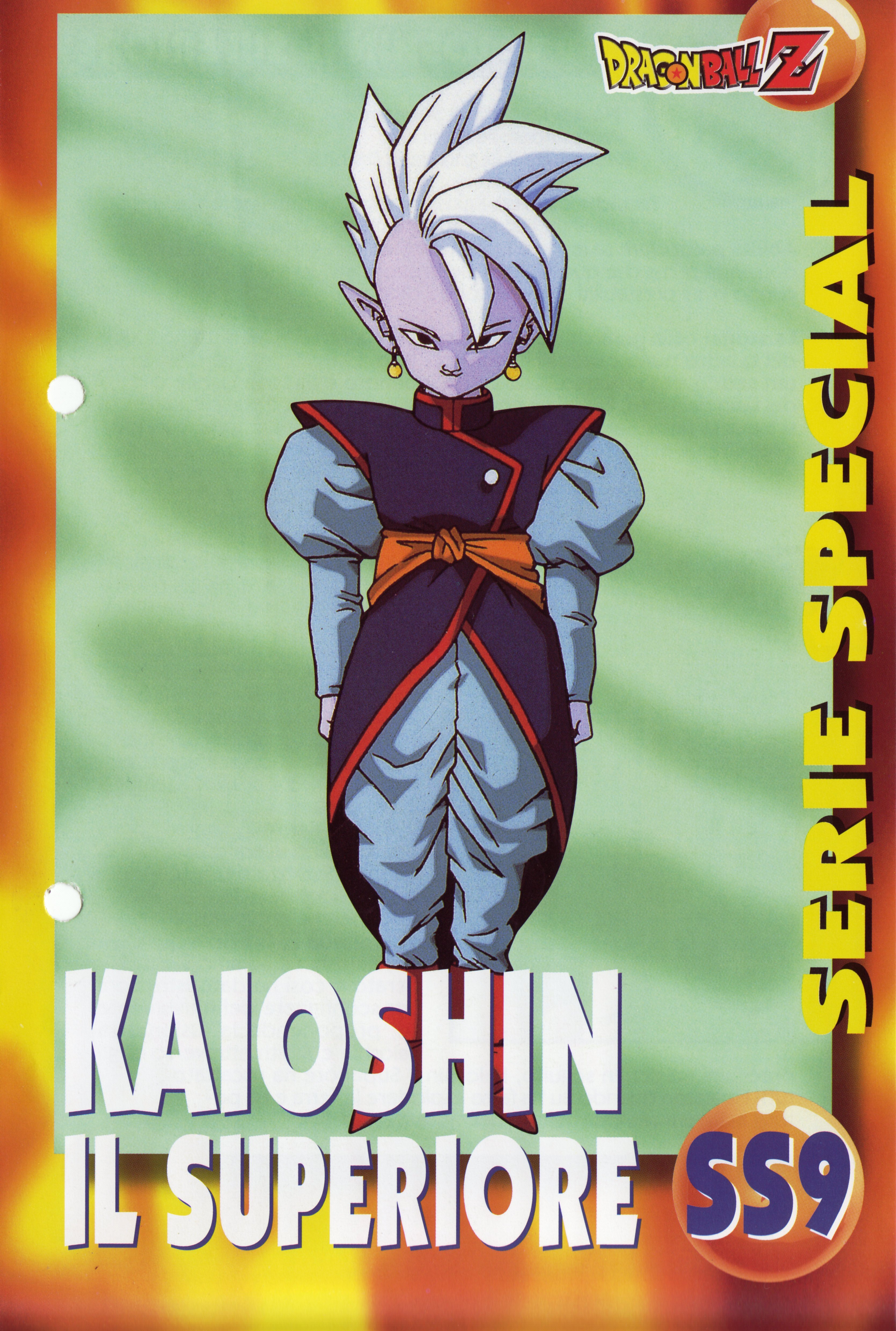 dragonballzsagamajinboo208.jpg