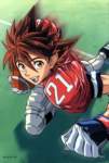 eyeshield2130_small.jpg