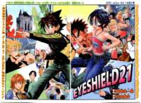 eyeshield2142_small.jpg