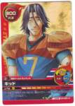 eyeshield2173_small.jpg